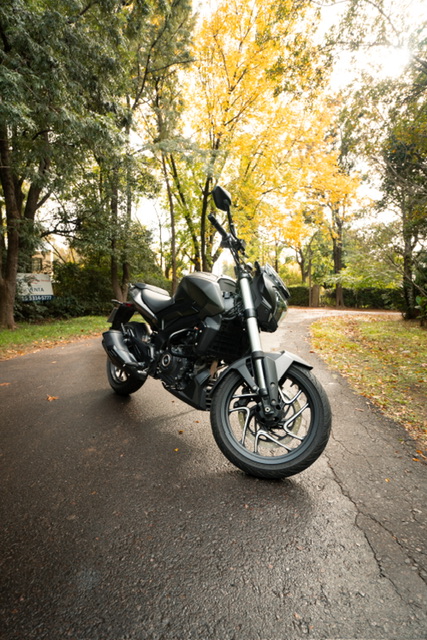 Bajaj Dominar