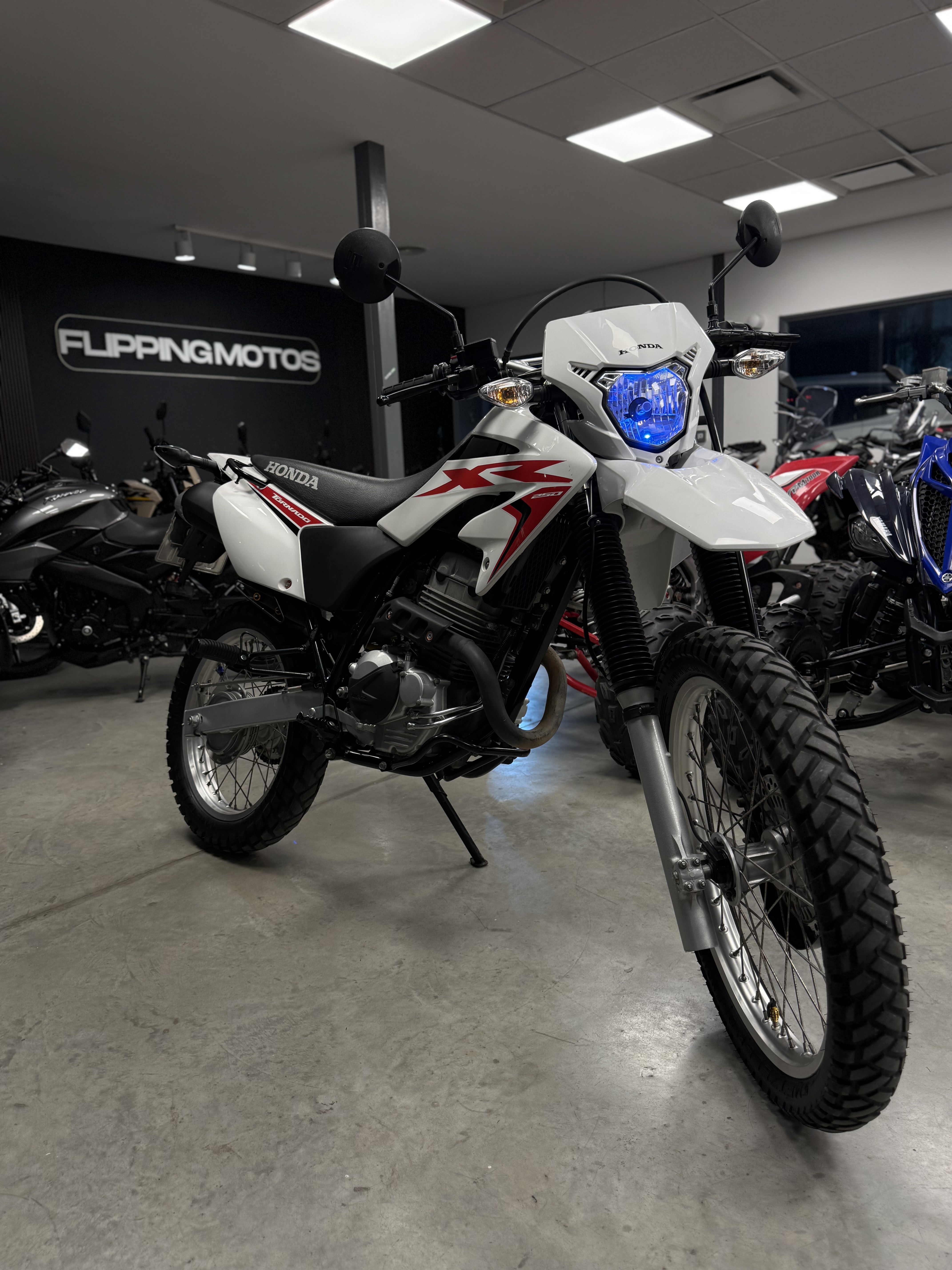 HONDA XR