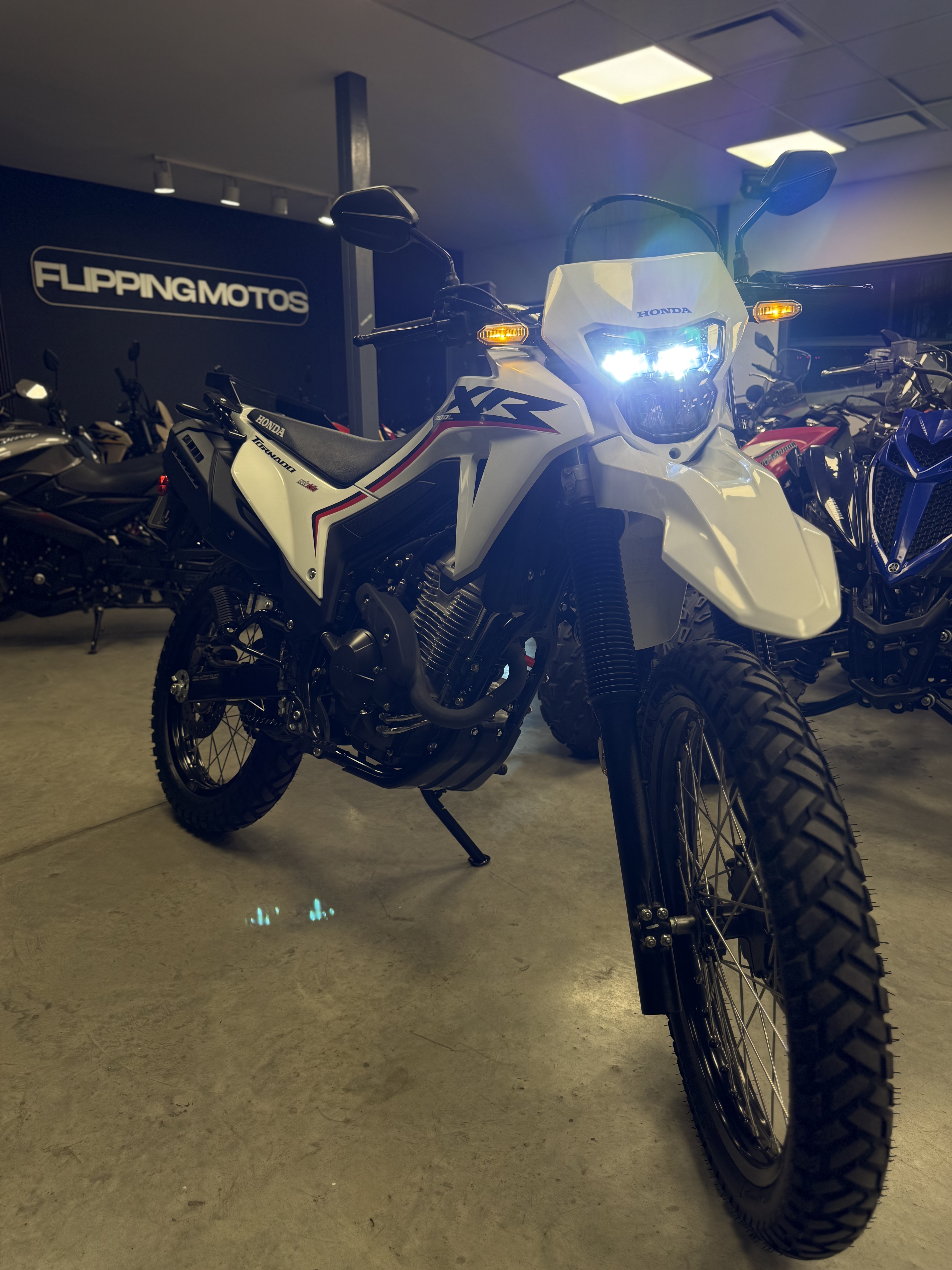 HONDA XR300L