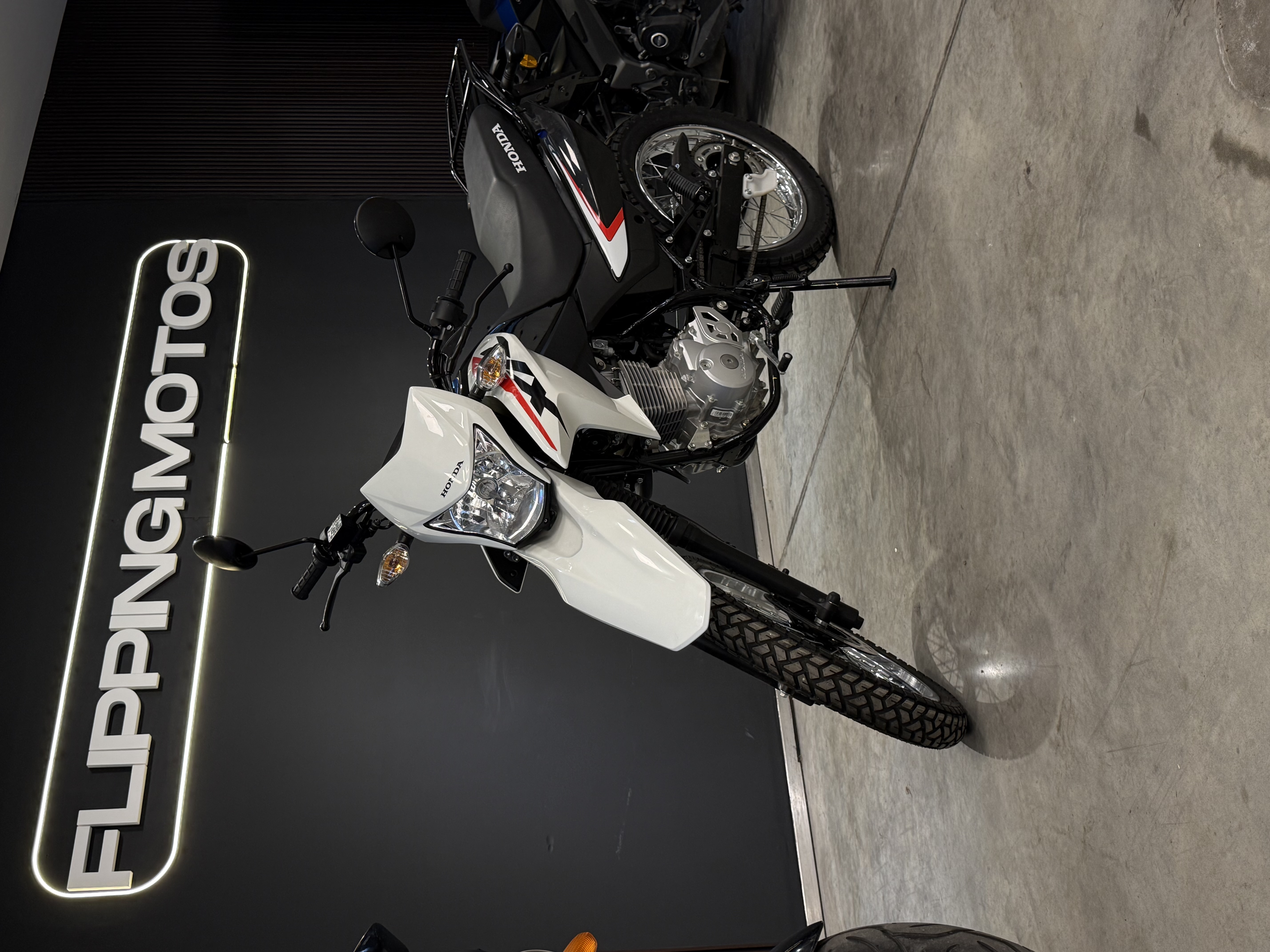 HONDA XR